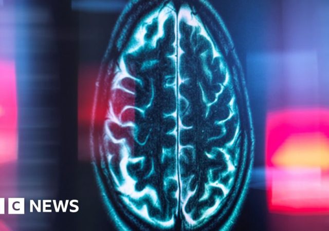 Scientists pinpoint the brain’s internal mileage clock